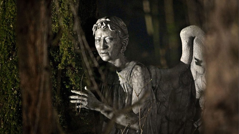 Flesh and Stone Weeping Angel